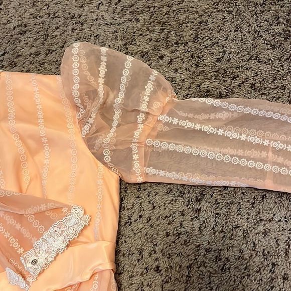 Vintage peach Lorrie‎ Deb Gown - Picture 4 of 5